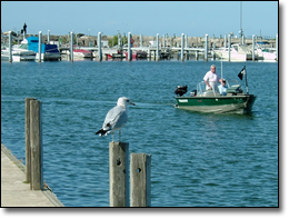 The State Park has boating facilities.