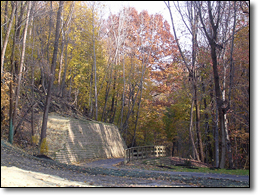 At one time the ravine had been proposed to be filled.